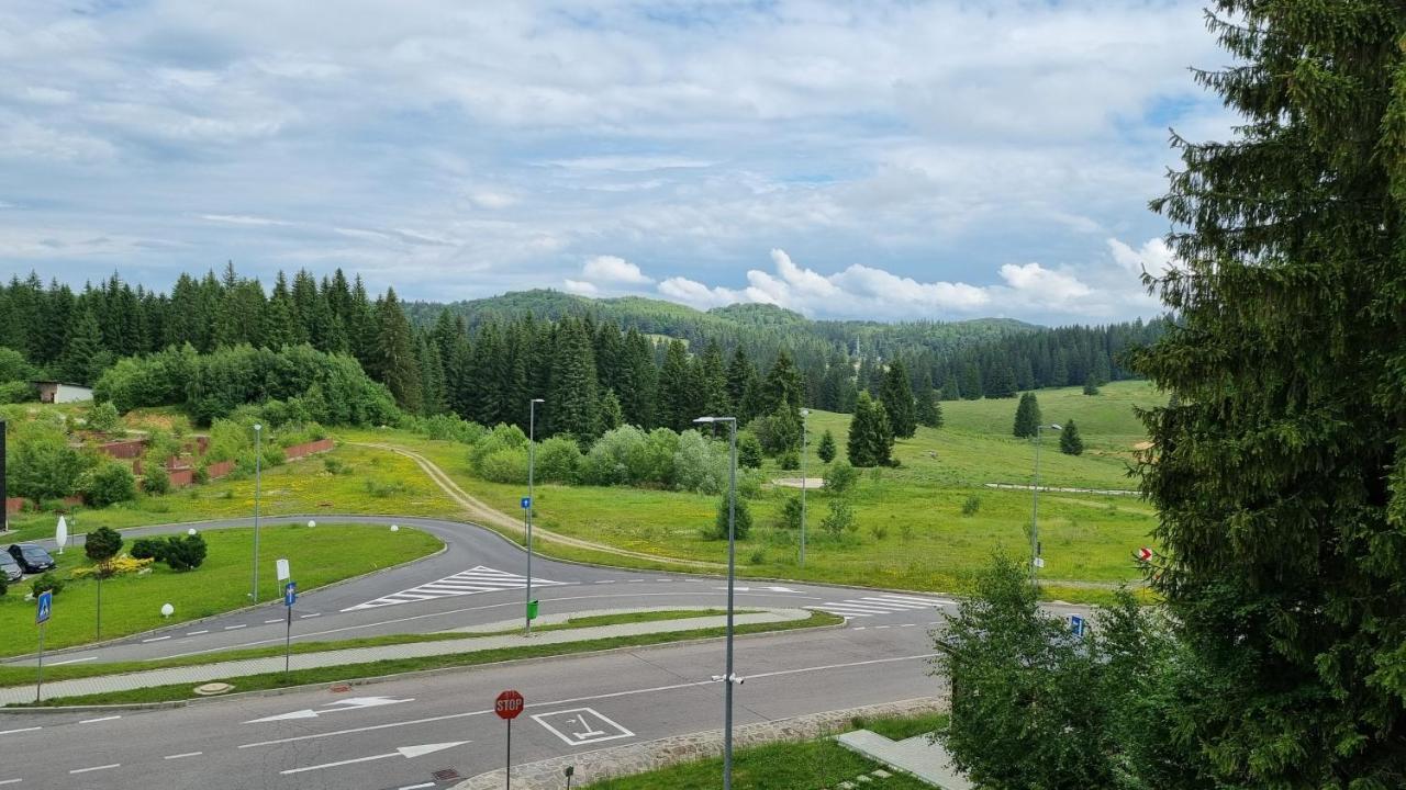 Charming Family Condo In Silver Mountain Пояна-Брашов Екстер'єр фото