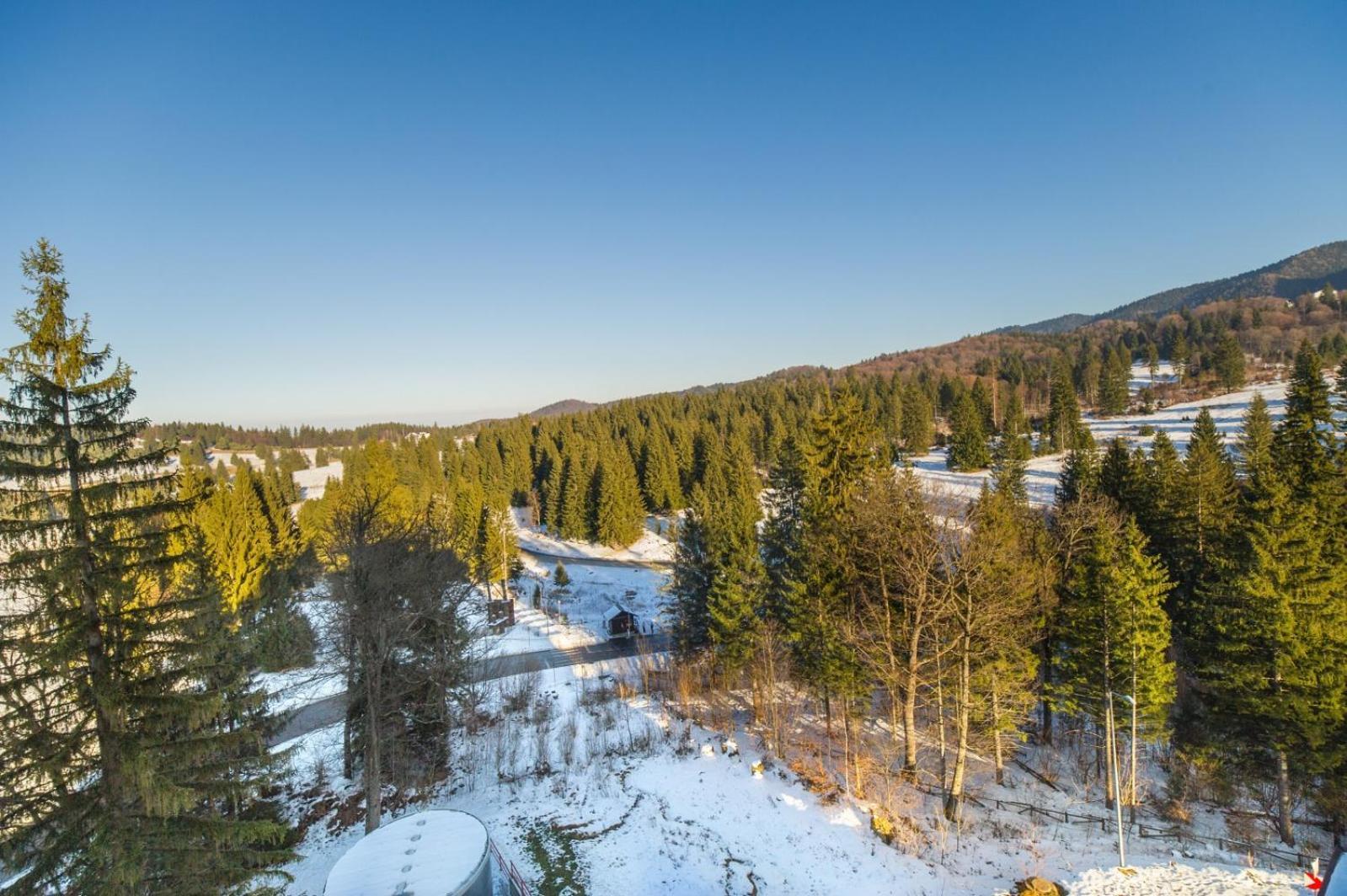 Charming Family Condo In Silver Mountain Пояна-Брашов Екстер'єр фото